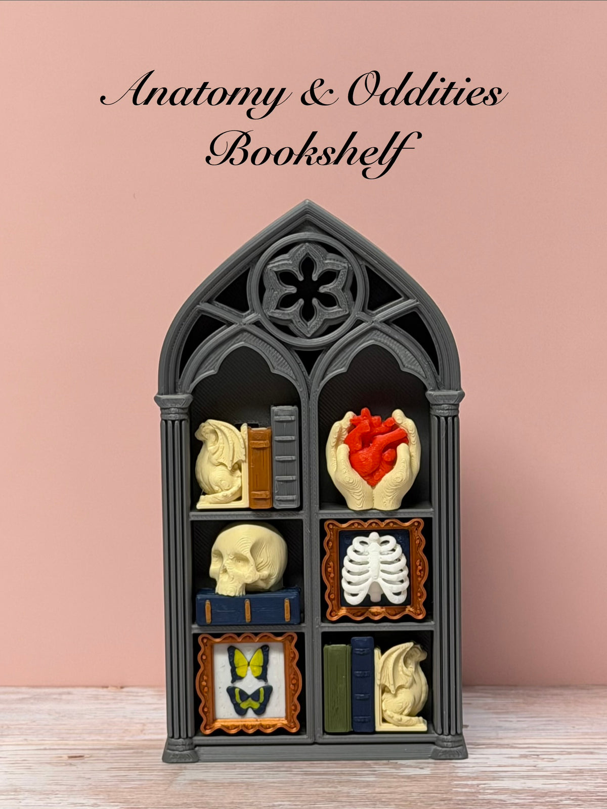 Anatomy & Oddities Bookshelf Clicker
