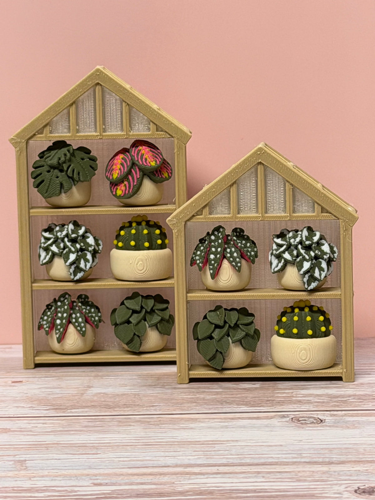 Greenhouse Plant Shelf
